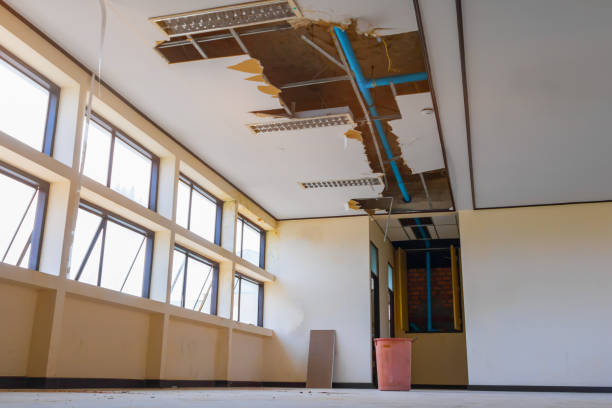 Best Water damage restoration near me  in Milan, OH