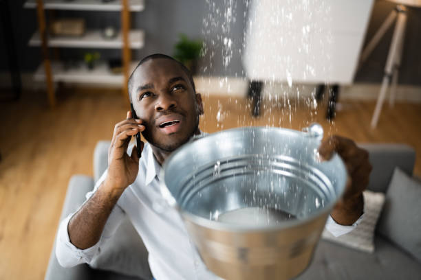 Best Water damage contractors near me  in Milan, OH