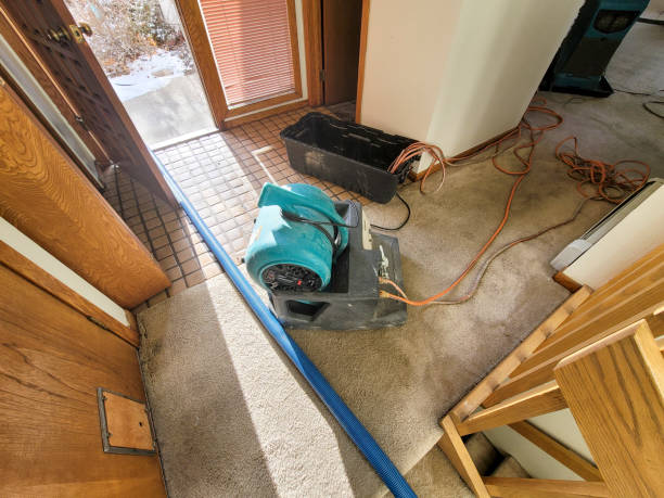 Best Flooded house restoration  in Milan, OH