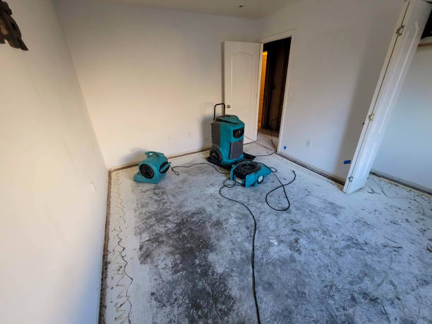 Best Carpet water damage restoration  in Milan, OH