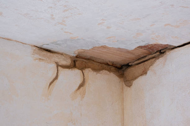 Best Water damage restoration near me  in Milan, OH