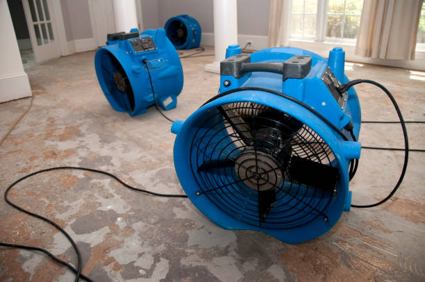 Best Flood damage cleanup  in Milan, OH