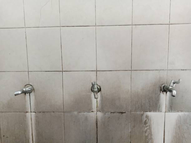 Reliable Milan, OH Water damage restoration Solutions