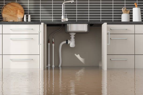 Best Flood damage cleanup  in Milan, OH