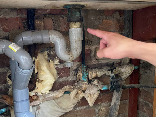 Best Local water damage restoration  in Milan, OH