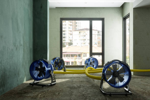 Best Professional water damage repair  in Milan, OH